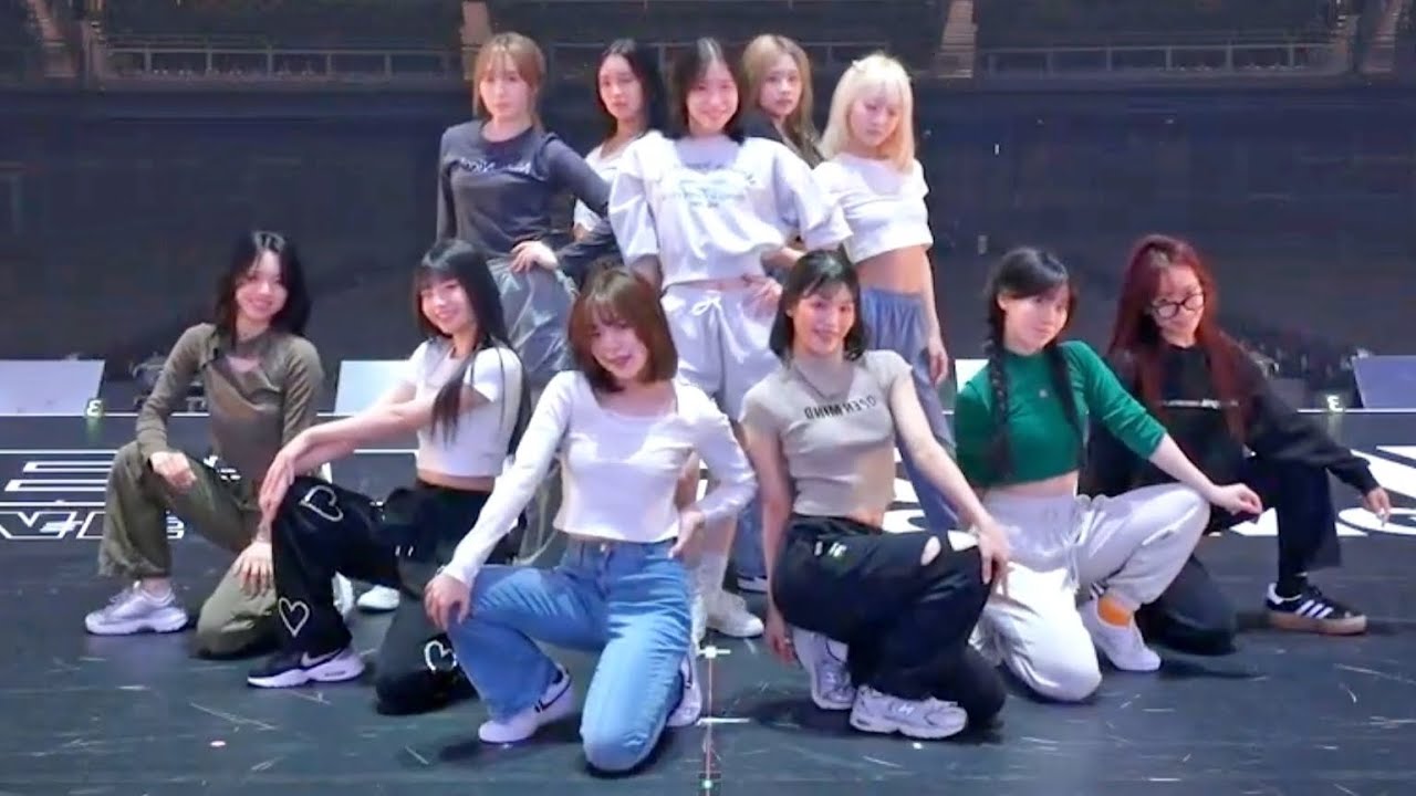 ME:I-CHOPPY CHOPPY(dance practice mirrored)