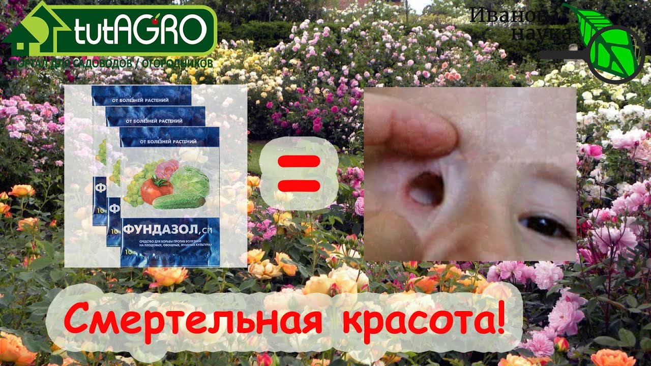 Даже не берите в руки ФУНДАЗОЛ! Дети без глаз, цирроз, рак и язвы - это все 