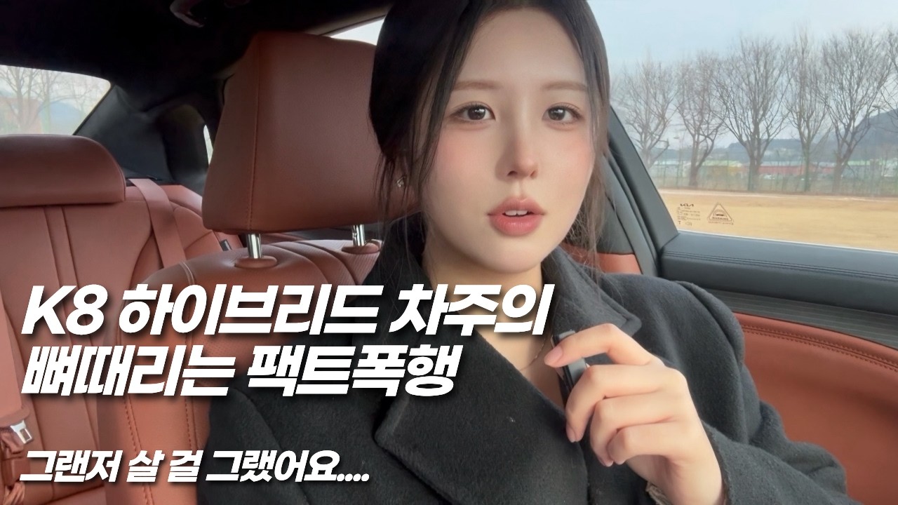K8 하이브리드 차주의 뼈 때리는 팩트폭행 