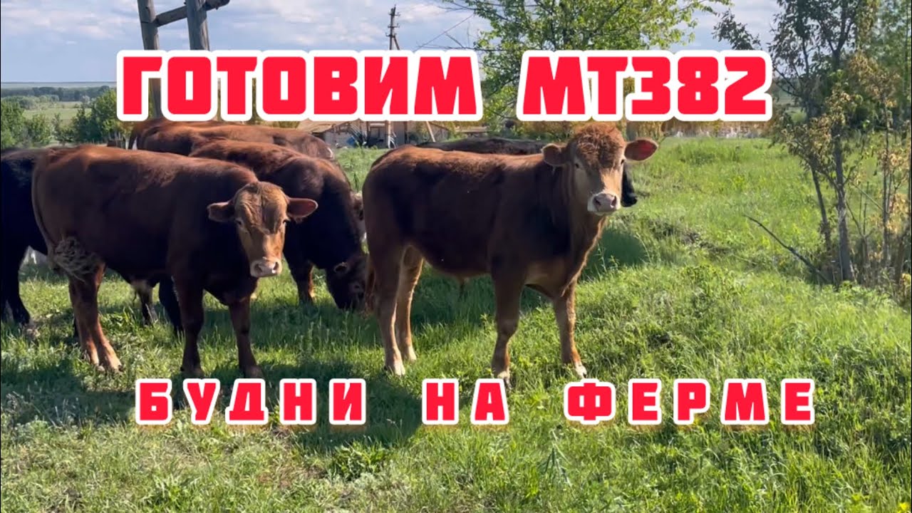 Будни на ферме. Готовимся к сенокосу