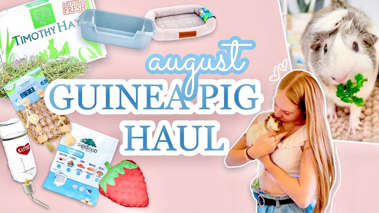 MONTHLY GUINEA PIG HAUL // AUGUST '21