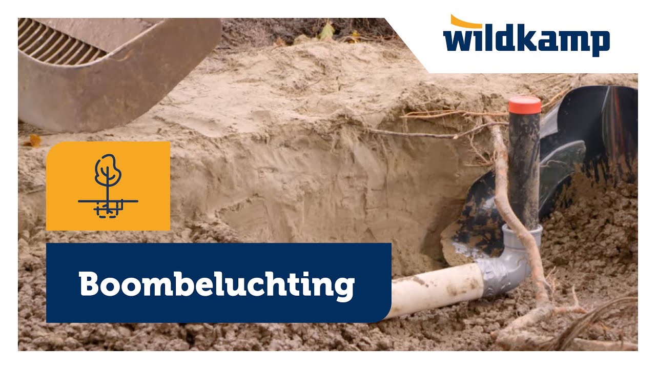 Boombeluchting project gemeente Groningen