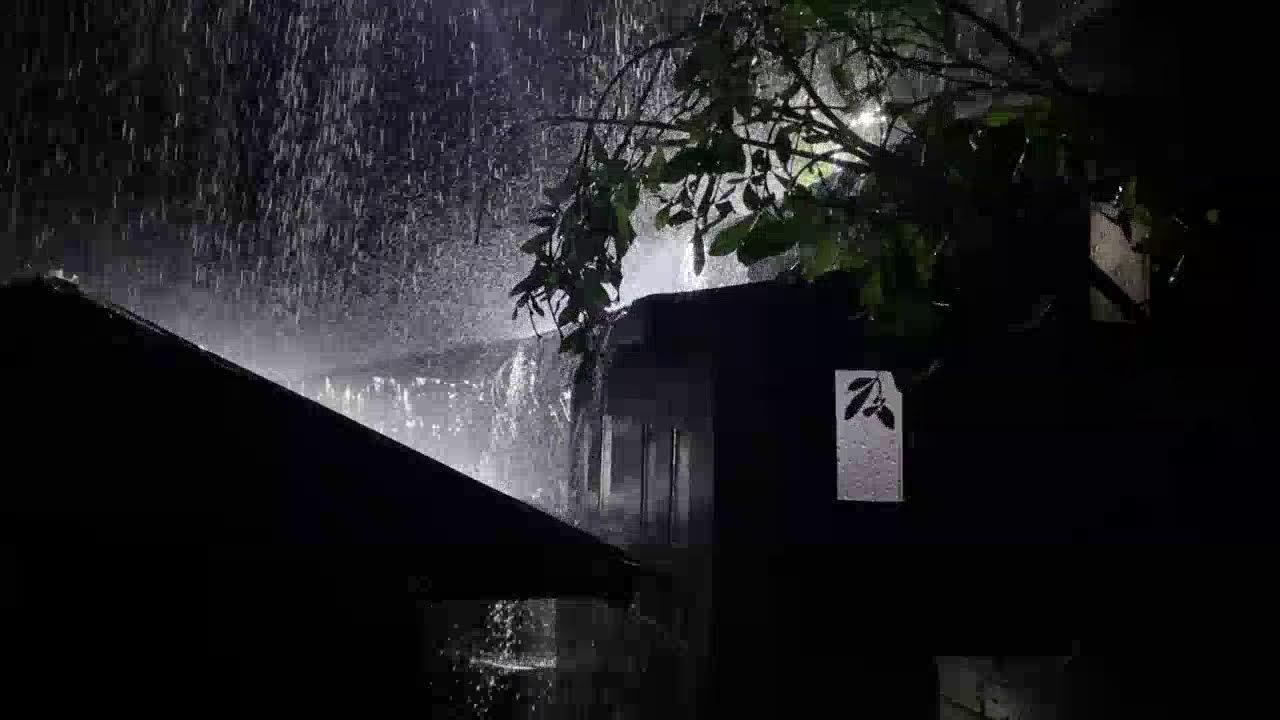Rain Sounds for Sleeping 🌧️ Heavy Tin Roof Rain