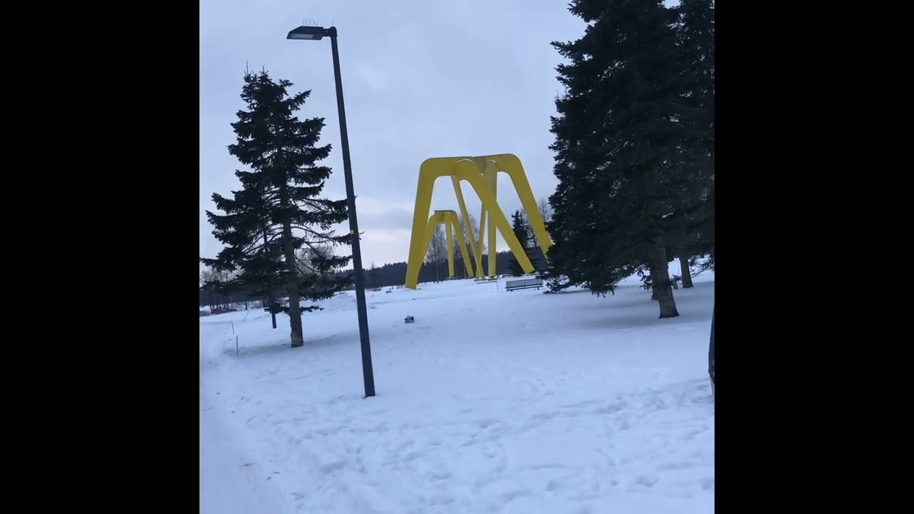 Elämänilo