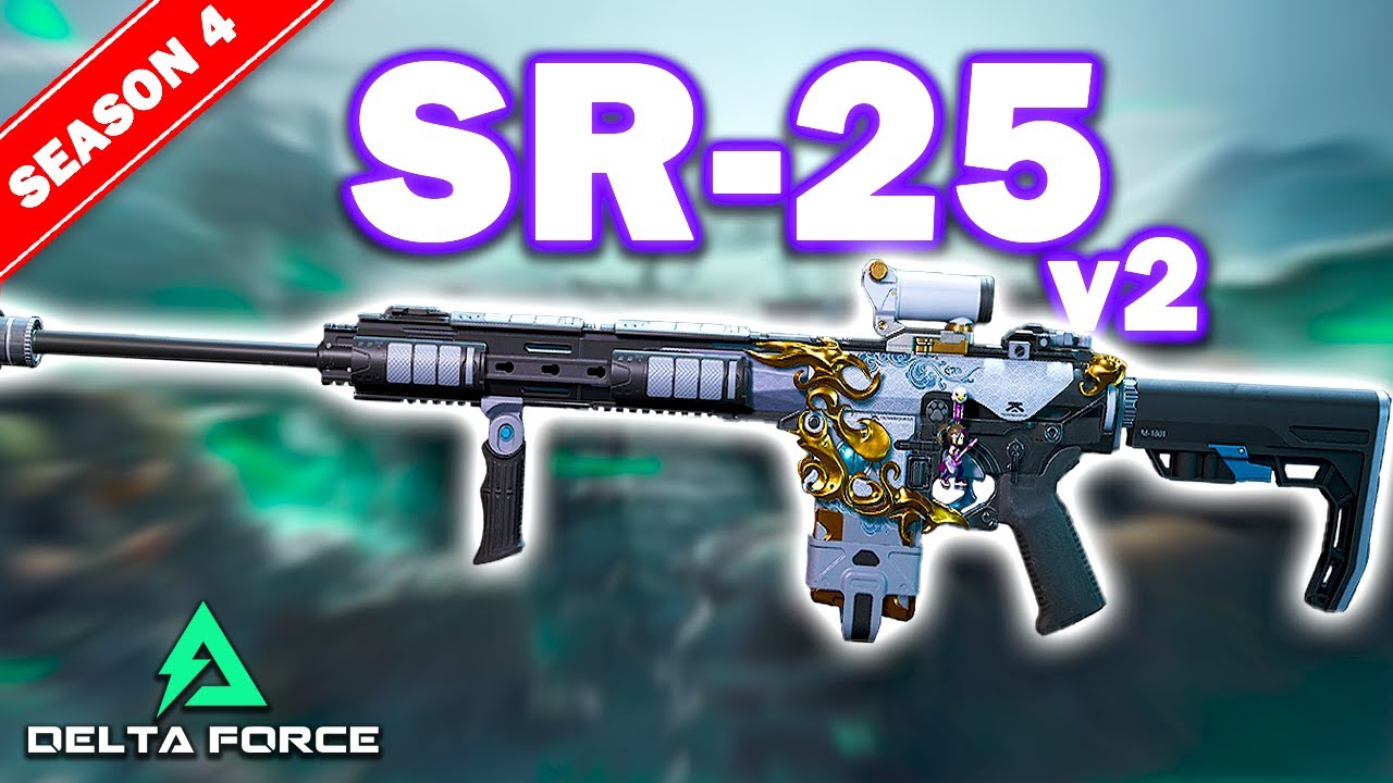 Delta Force: Best SR-25 Loadout (Long Range Monster!)