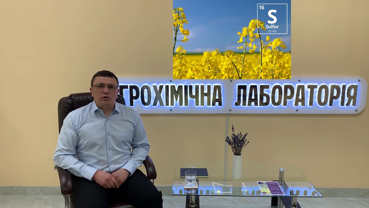 СІРКА У  ЖИВЛЕННІ РОСЛИН