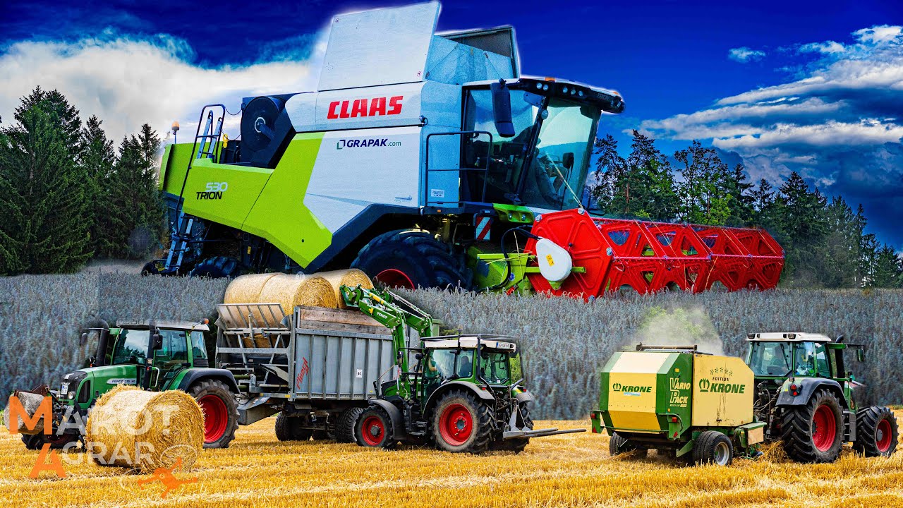 ŽETEV V POLNEM TEKU!🔥ŽETEV PŠENICE | WHEAT HARVEST🐄🚜Kmetija DOBROVNIK ✩ 2025