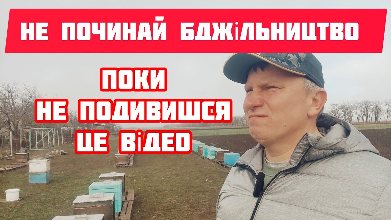 ✅Покрокова інструкція для початківців у бджільництві, як розпочати діяльність