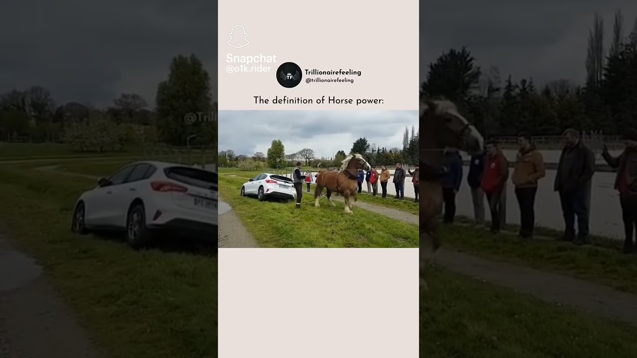 definition of horse power😮&zwj;💨
