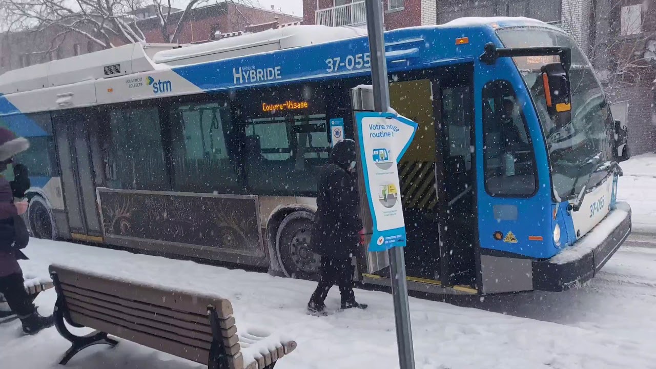 Public transportation in Montreal  #studyvisa #montreal #canada (Part -1)