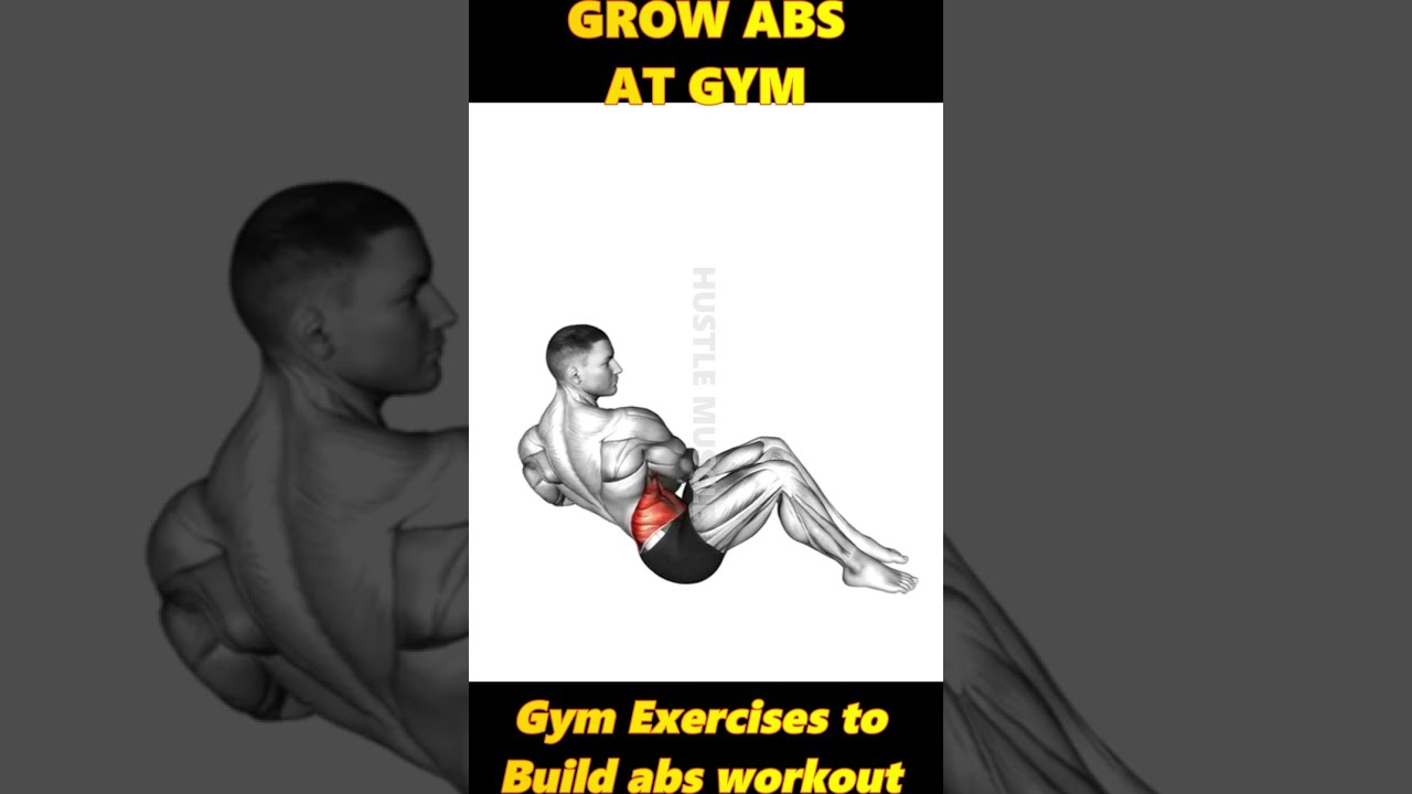 top 3 abs workout at gym for 6packs