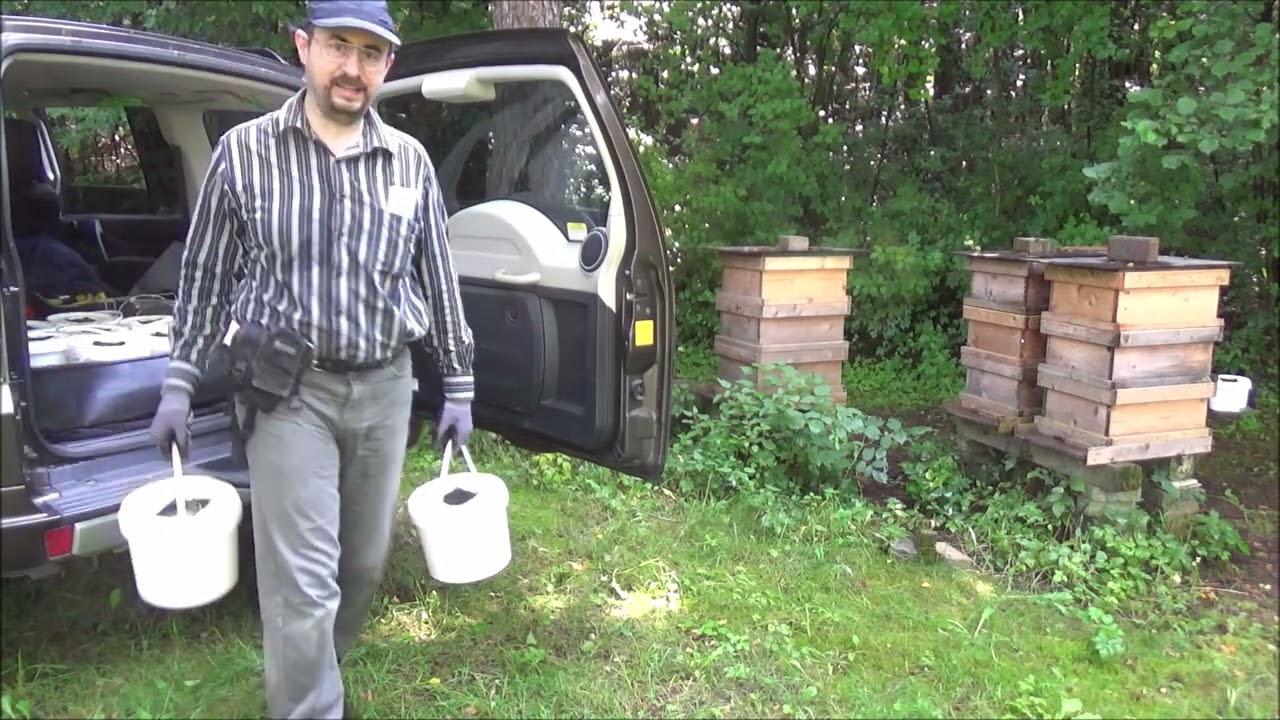 Imkerei 2024 Nr  16 Bienenflucht  Zuckerwasser einfüttern