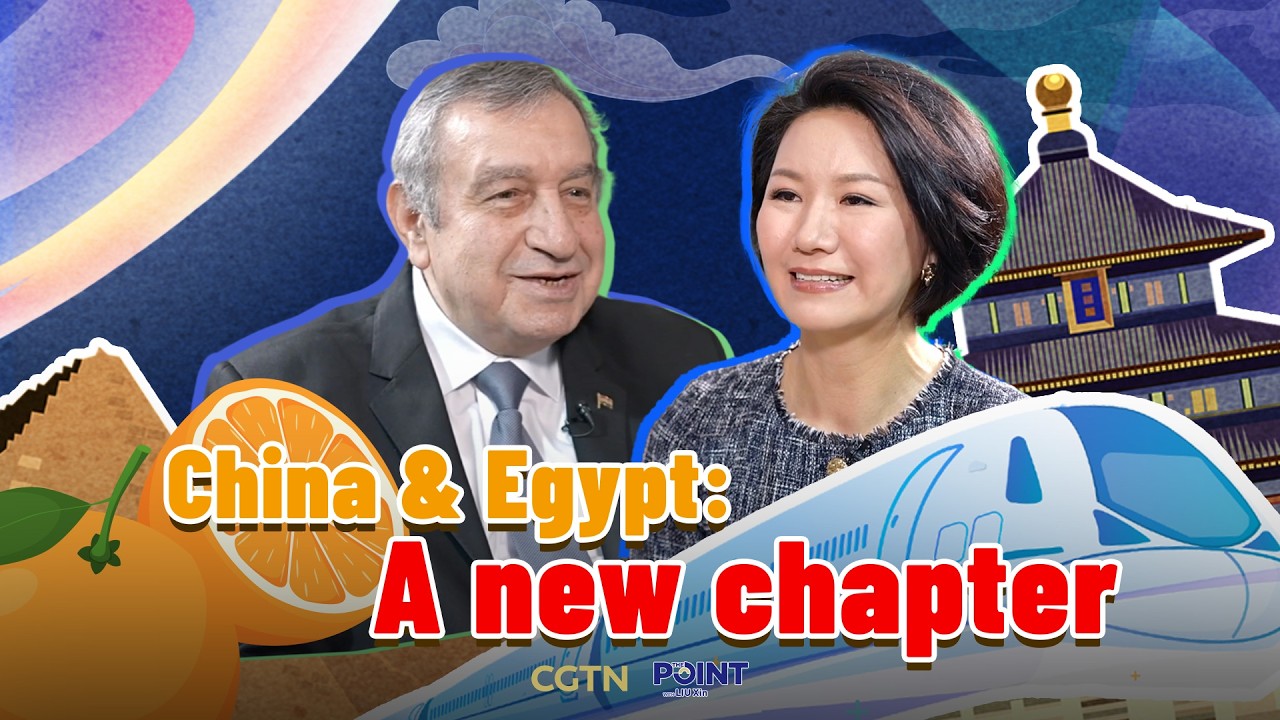 China-Egypt relations: From trade partner to development partner