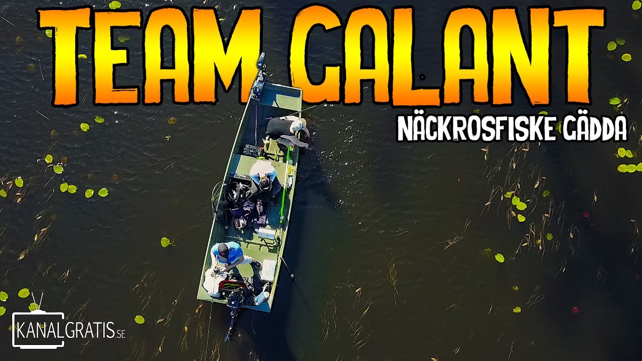 Sjuka Ythugg Bland Näckrosor | Team Galant