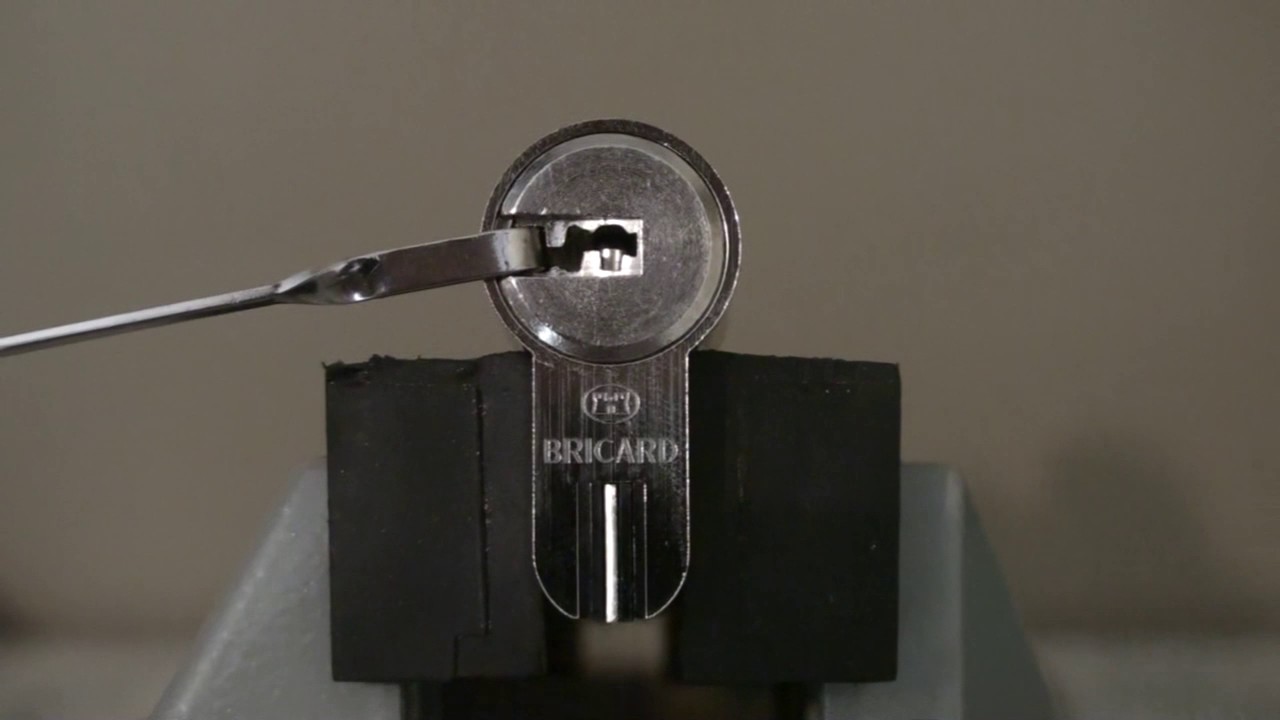 020 Bricard Trial S picked and gutted