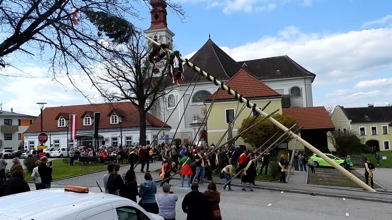 Maibaum Hoheneich
