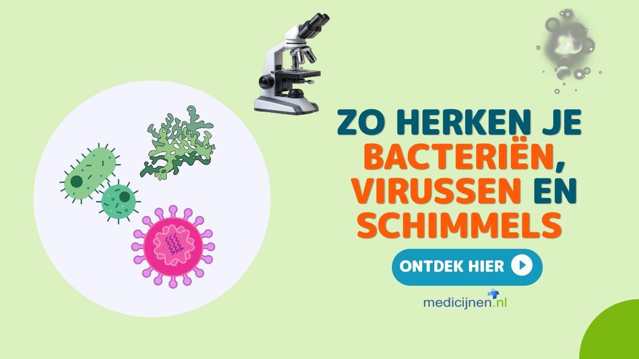 Bacteriën, virussen en schimmels – Wat is het verschil?
