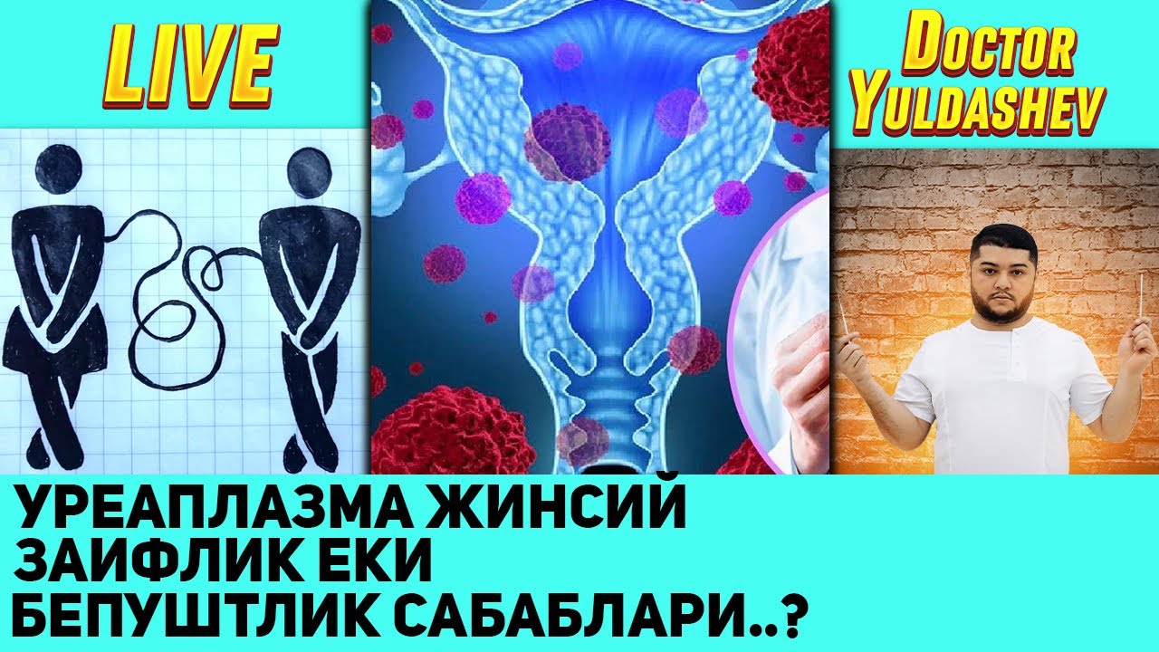 Хавфли жинсий инфекциялар// Уреаплазма