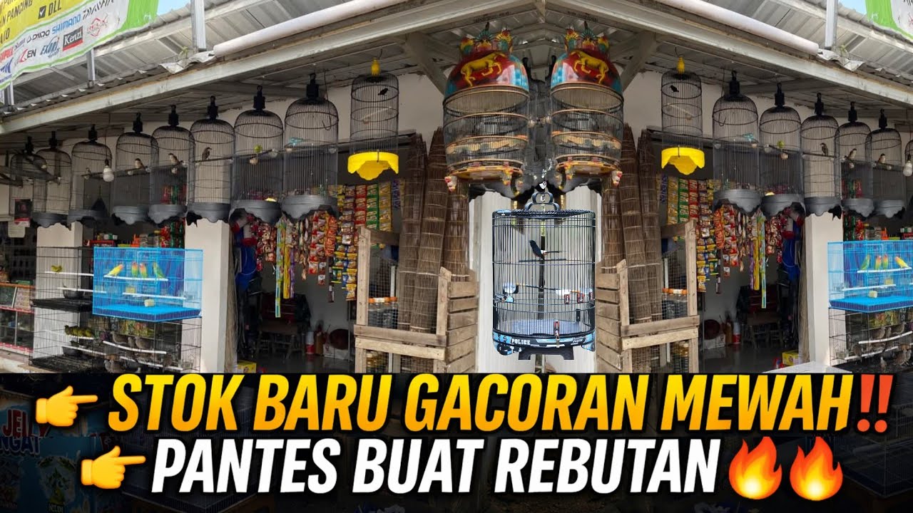 EDAN SIH‼️STOK BARU MENDARAT DI KIOS KECIL INI 😱 SEMUA GACORAN MEWAH, PANTES BUAT REBUTAN