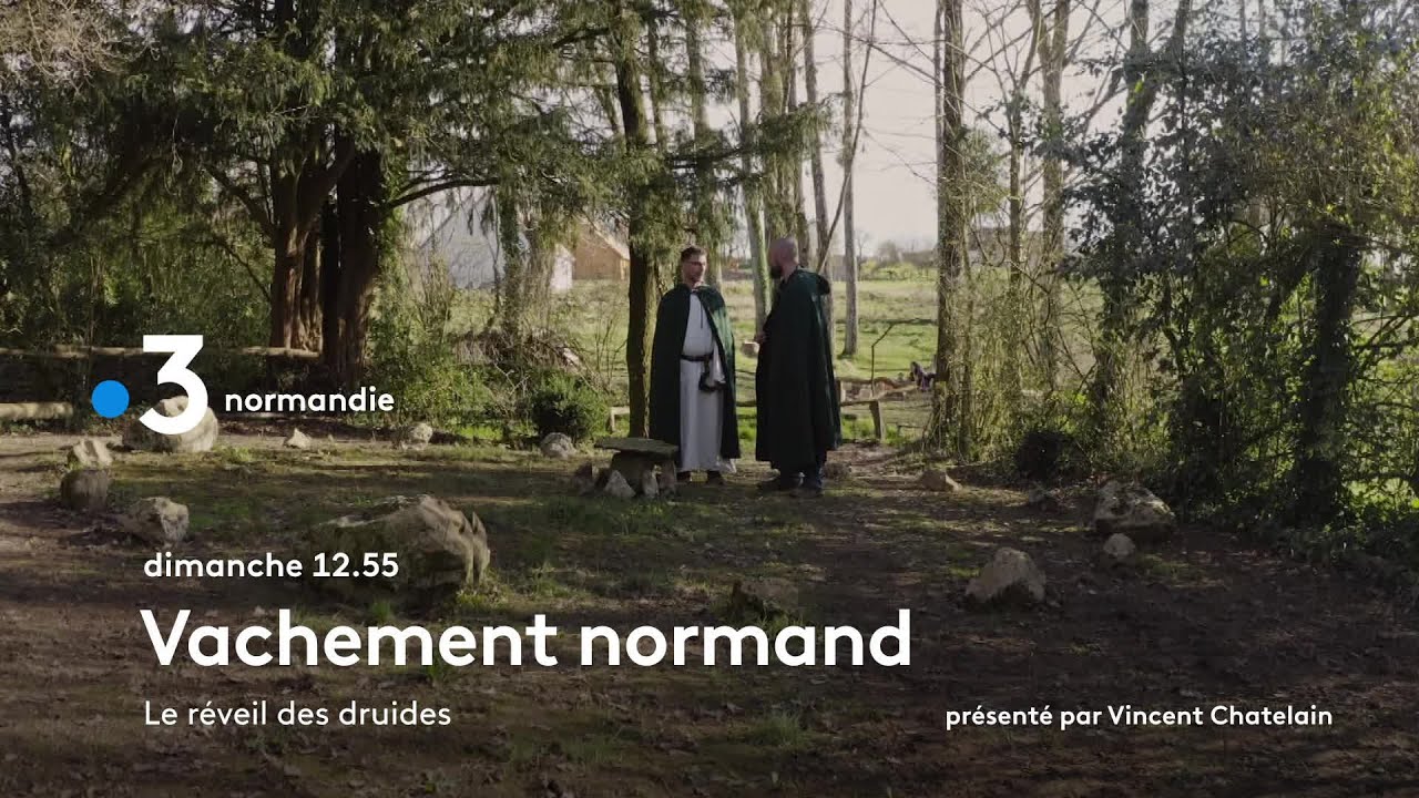Le réveil des Druides