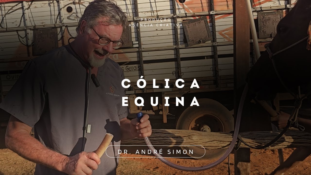Colica Equina | André Simon - Vet Raiz