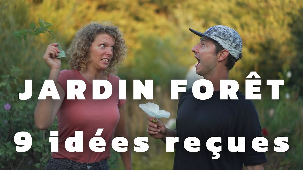 9 idées reçues sur le Jardin-Forêt 🌳 (avec Claire Mauquié)