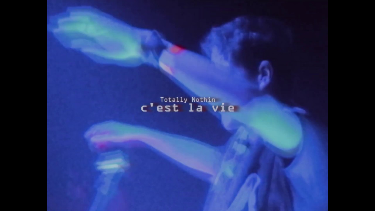 Totally Nothin - c'est la vie (VHS Video)