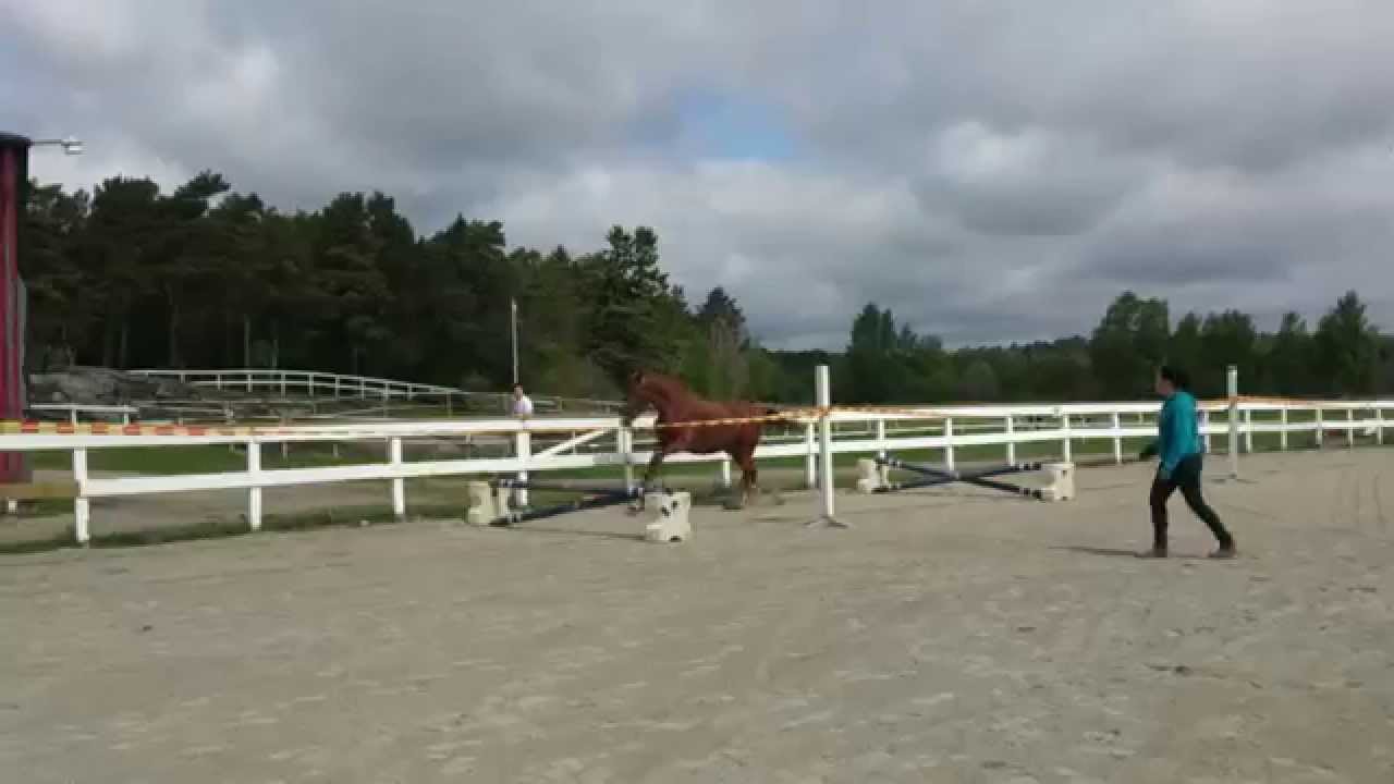 K&aring;da 140516