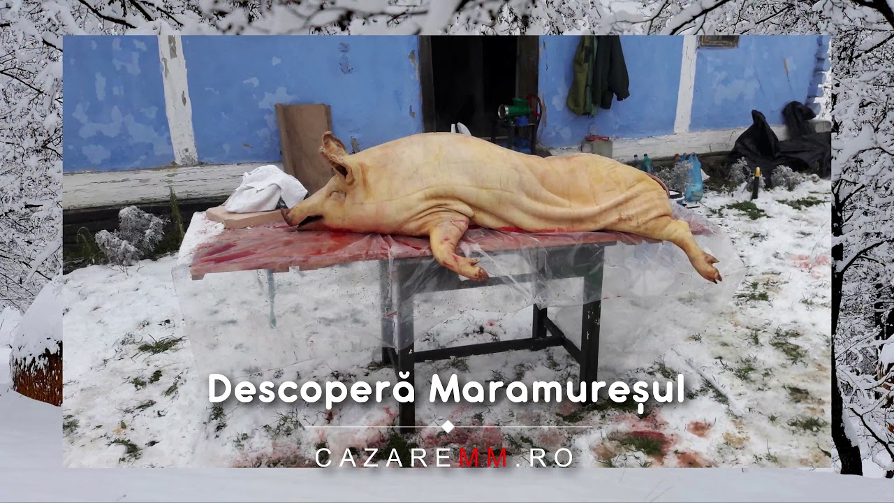 LIBOTIN Maramures, Viziteaza Libotin, Cazare, Pensiuni   CazareMM