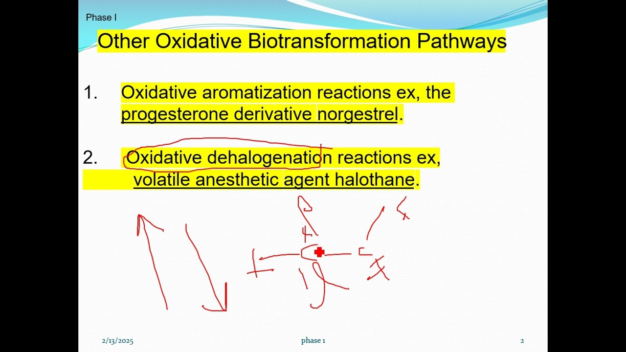 Oxidation, reduction and hydrolytic reactions (تقويمي 2025)