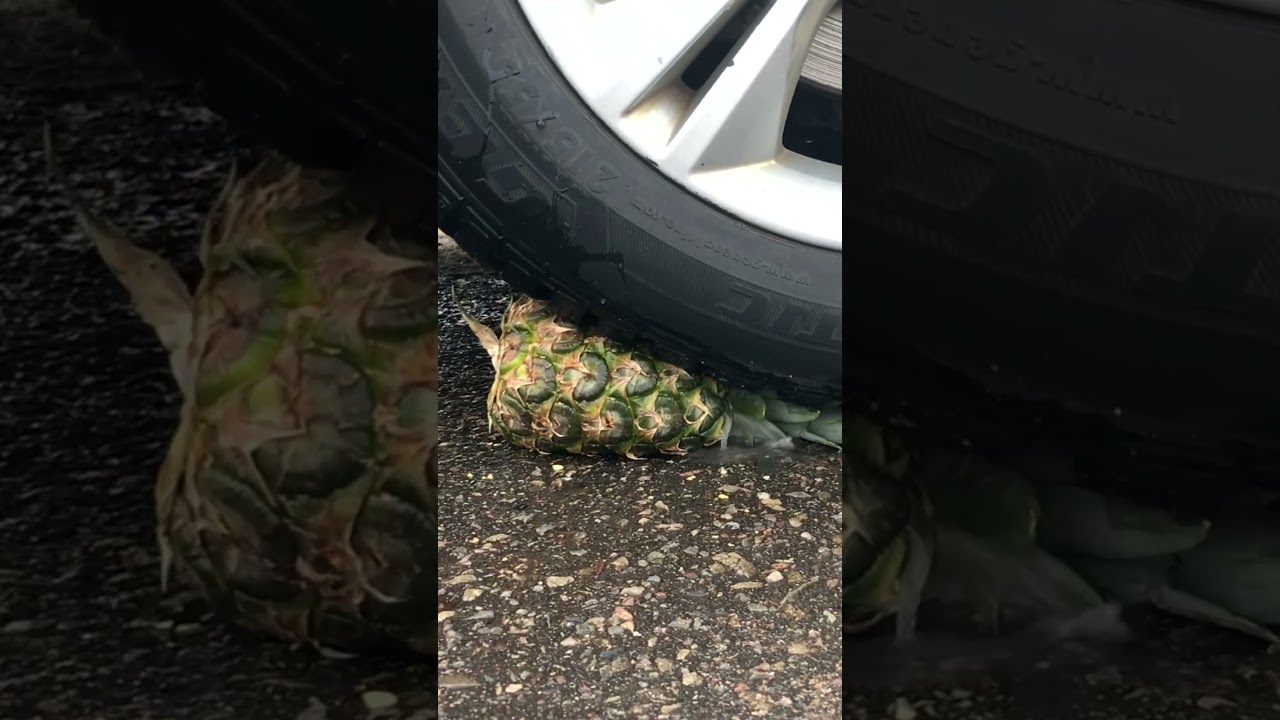 Car vs Pineapple 🍍🚗😜 ASMR 💩