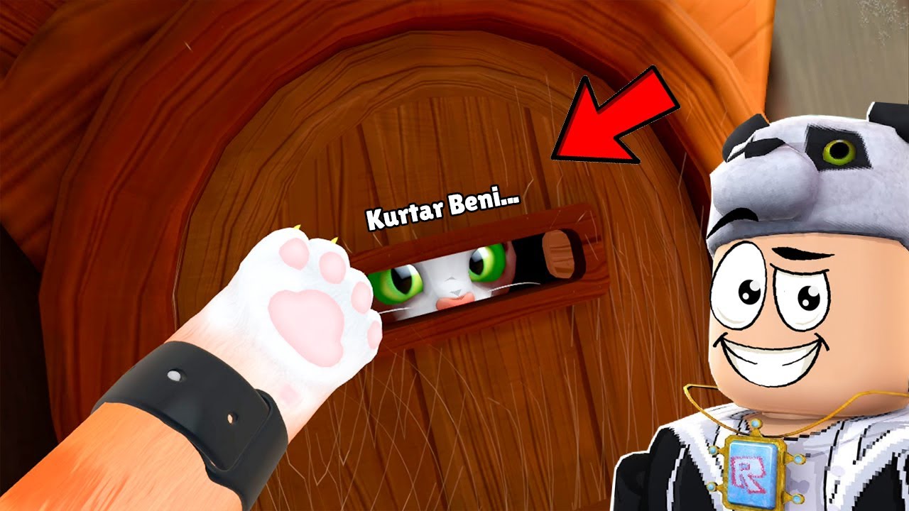 Melton Kediye Kaçması İçin Yardım Ediyorum - Heronpuppy I Am Cat VR