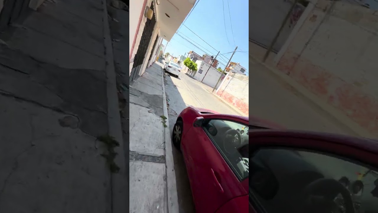 CAMINATA CAMBA EN EL #trabajo #fypシ゚viral #feedshorts #visitméxico #puebla #breakingnews #atlixco 