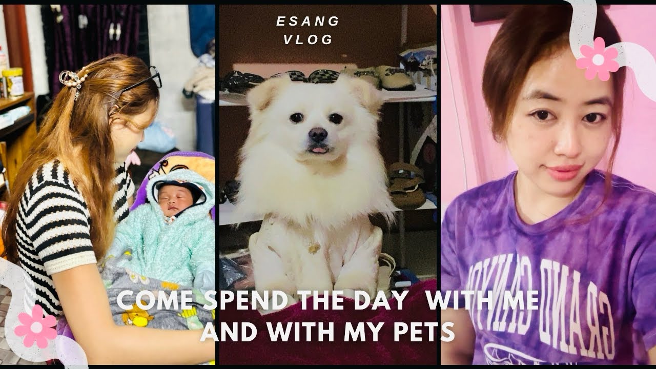 A simple vlog with my dogs and a small life update 🌿