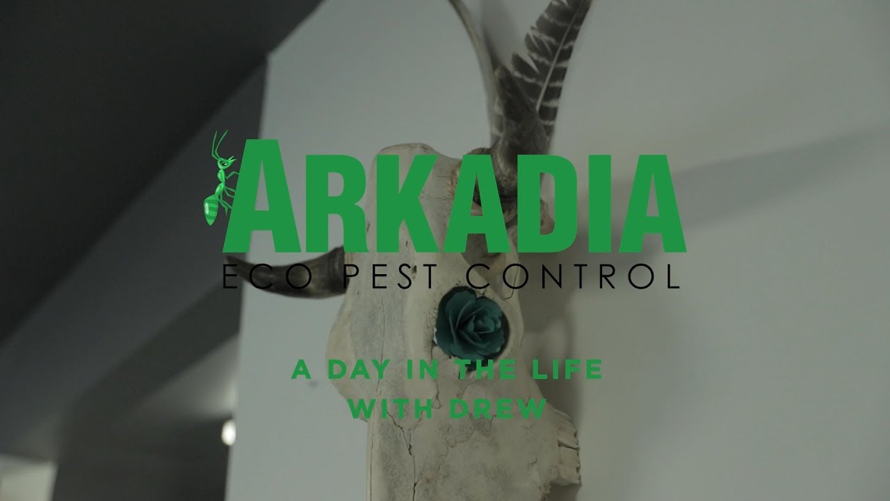 A Day in the Life - Arkadia Pest Control Technician