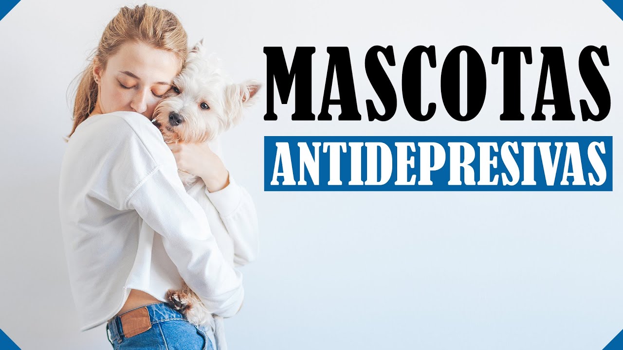 Mascotas contra la depresión