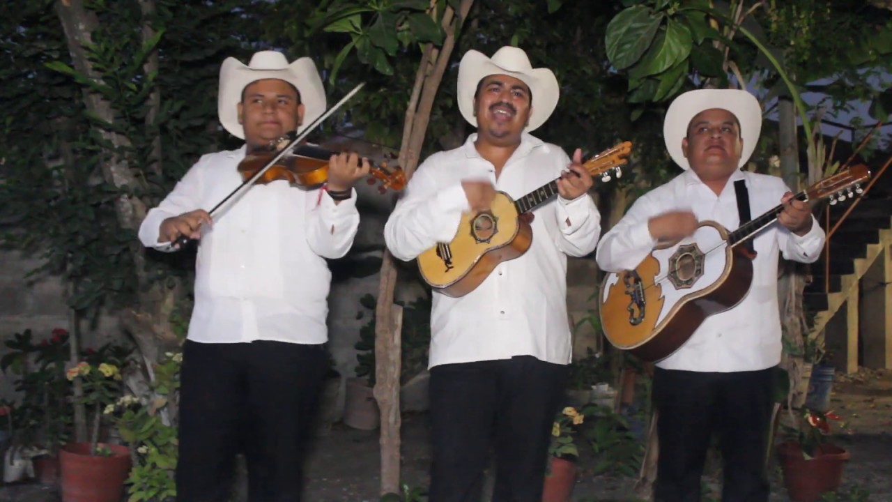 (EVTH) Trío Reliquias del Pánuco - El Fandanguito y El Caimán