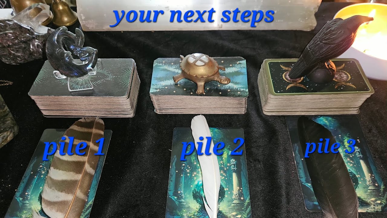 What next steps to take in your situation 🤔 PICK A PILE 🌜🧚‍♀️🐢🐦‍⬛🪶🪽🐈‍⬛👀