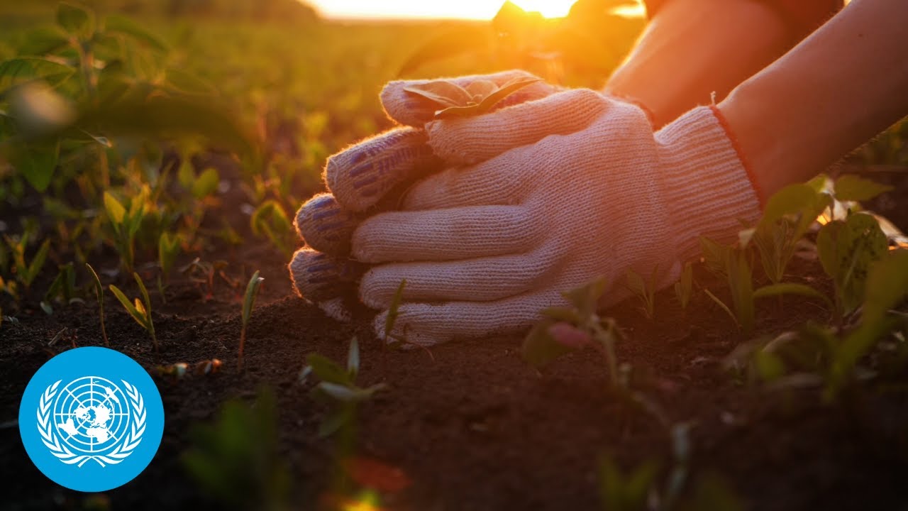 Take Action for the World's Least Developed Countries