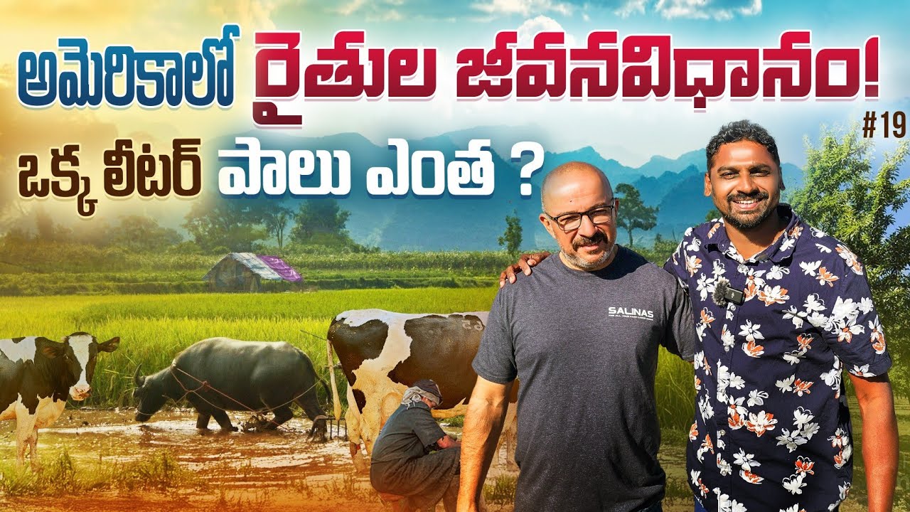Daily Village Life Farming In California America 🇺🇸 | Uma Telugu Traveller