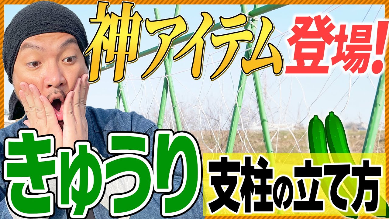 【神アイテム！エコ栽培】きゅうり・トマト栽培に最適な園芸ネット！支柱の立て方〜ネットの張り方までまるっと紹介