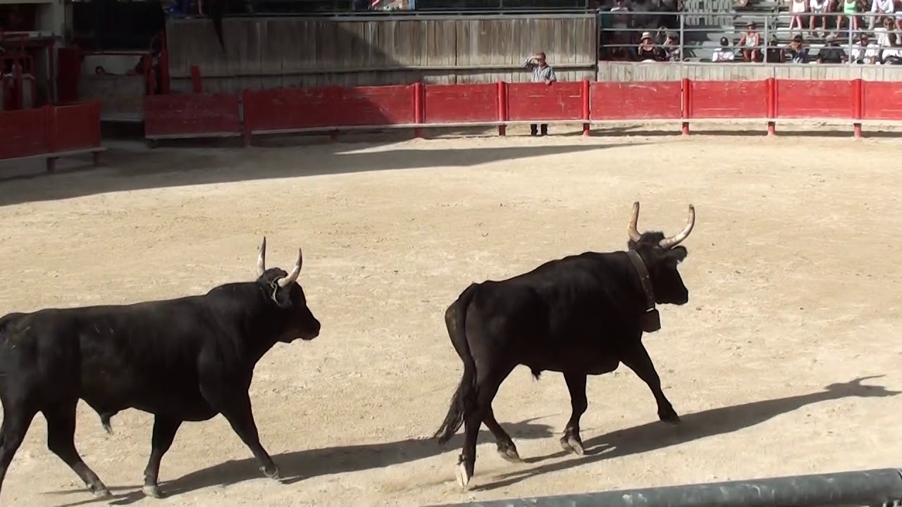 sortie du simbeu manade cuill&eacute;