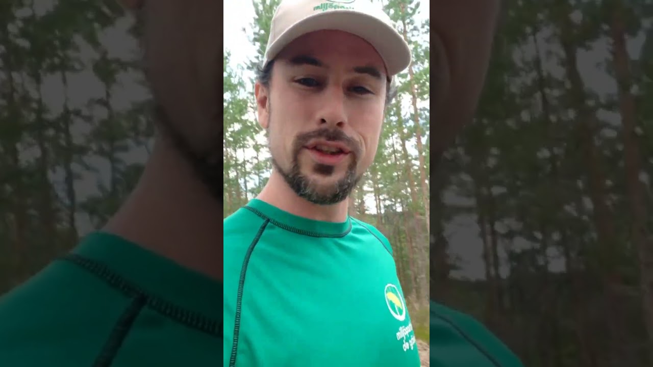 Överambitiösa planer på hallar i Ljusdal