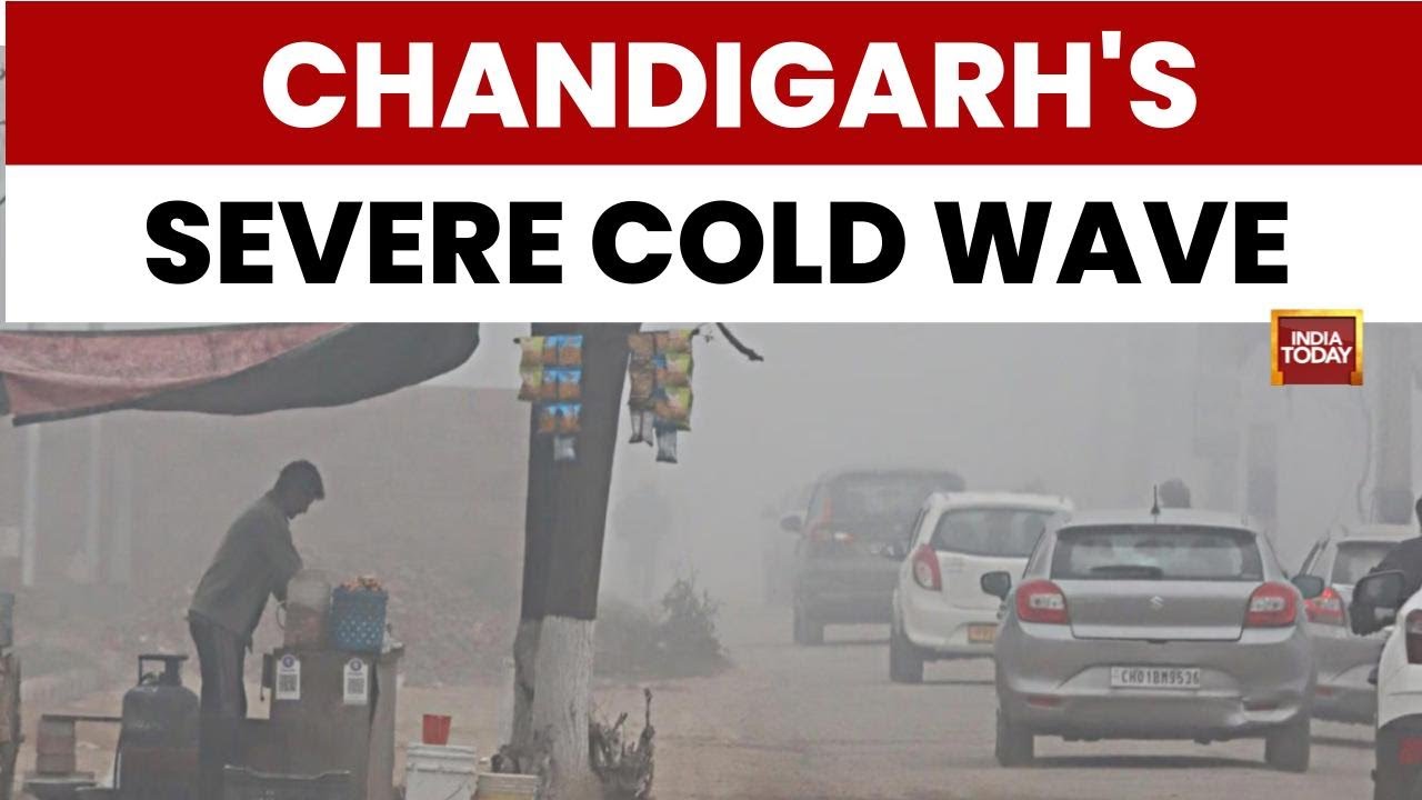 Chandigarh: 'Cold Wave Conditions Exist As Temperatures Plummet' | Kamaljeet Sandhu Report