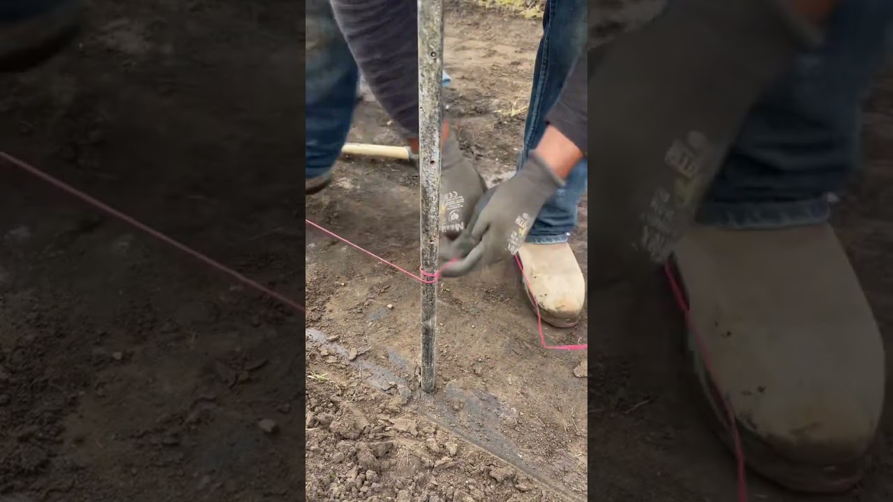 String line for concrete forming #iowa #desmoines #concrete #construction #concreto #howto #midwest