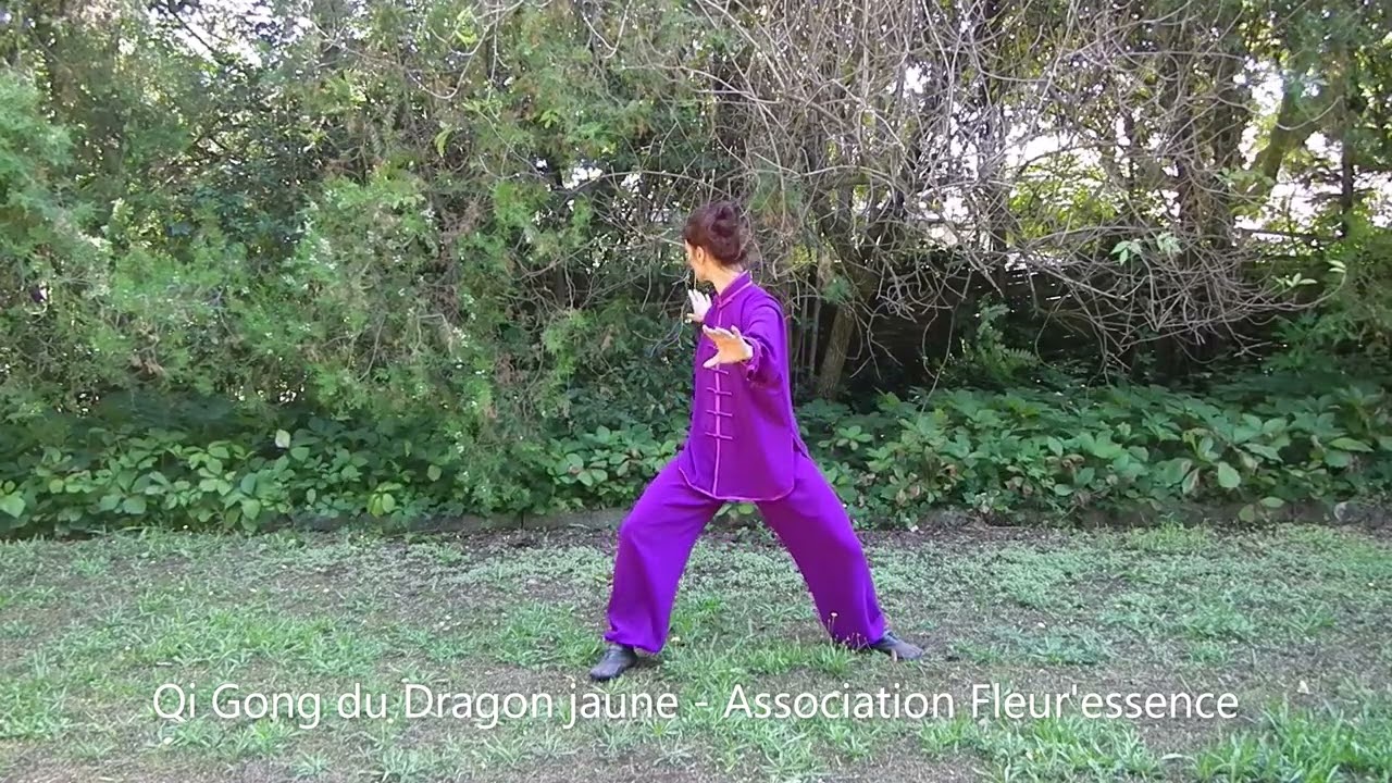 Extrait : Qi Gong du Dragon jaune, méthode  Liu Dong