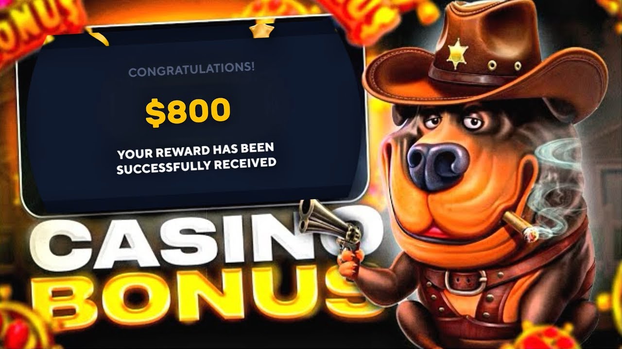 800$ REAL CASH CASINO BONUS! CASINO FREE SPINS NO DEPOSIT 2025, CASINO GAMES FREE BONUS.