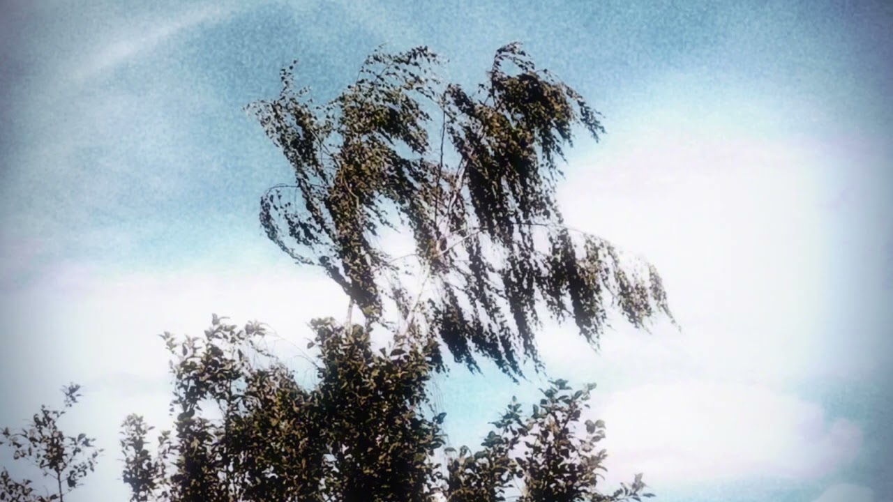 wqever - spring (slowed + reverb)