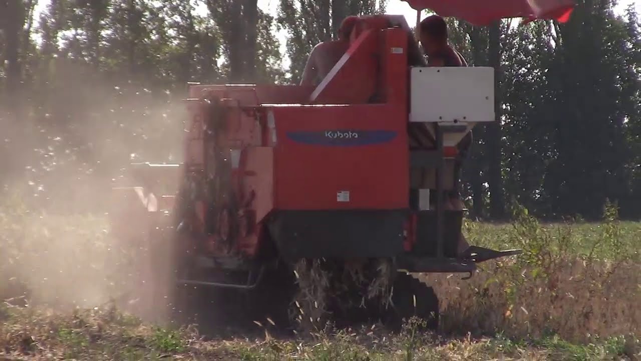 ЯПОНСКИИ Комбайн KUBOTA DC-1SU. Уборка фасоль
