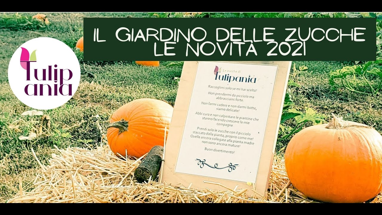 Novit&agrave; per le zucche di Tulipania 2021